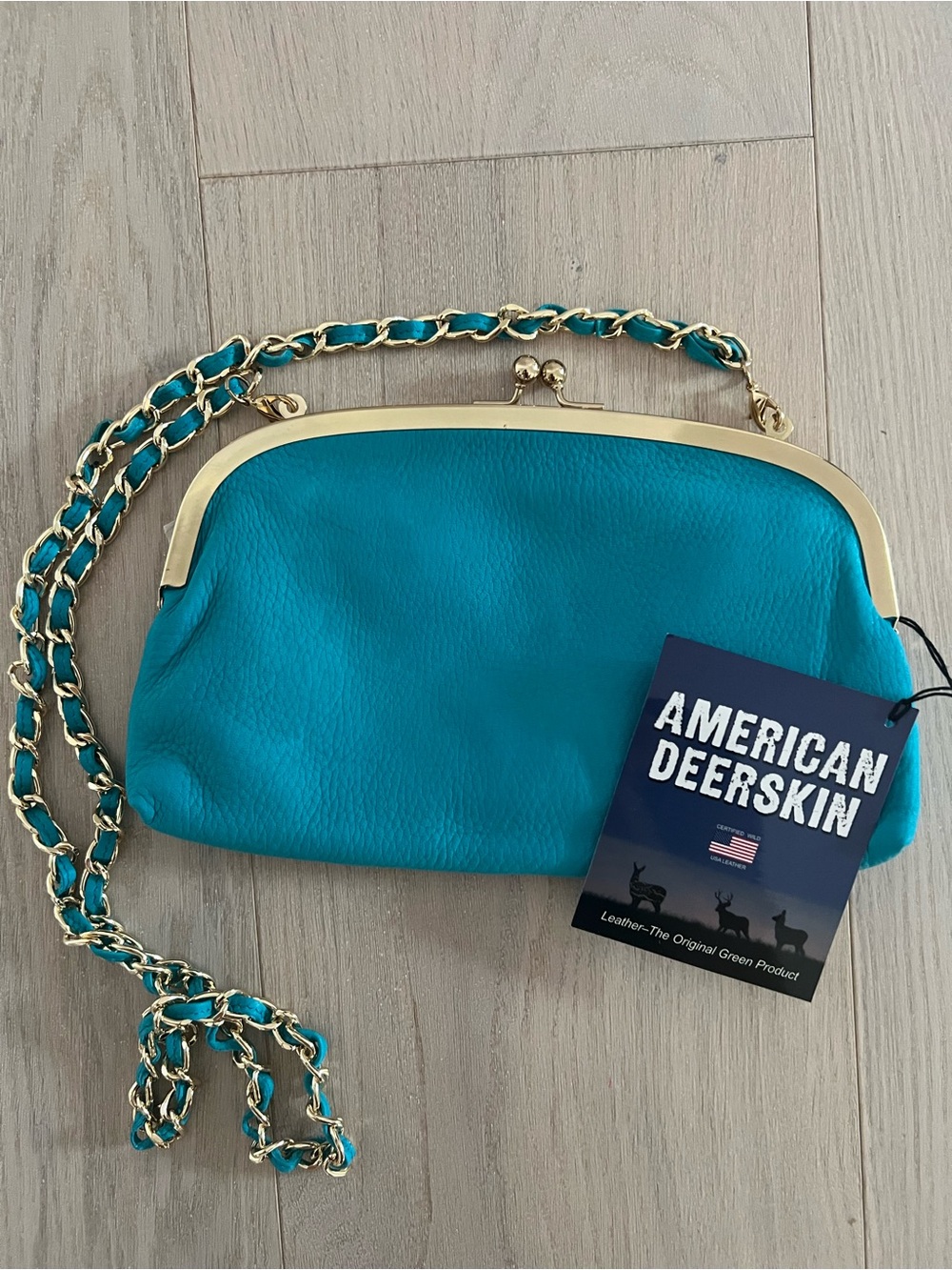 Teal Kiss-Lock Chain Clutch